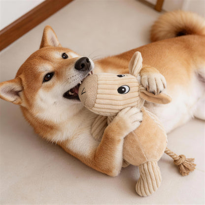 Kuscheltier für Hunde, Spielzeug in Esel und Hund Design mit Robusten Baumwollseilen, quietsch, Begleiter gegen Langeweile für Hunde, 3 Stück