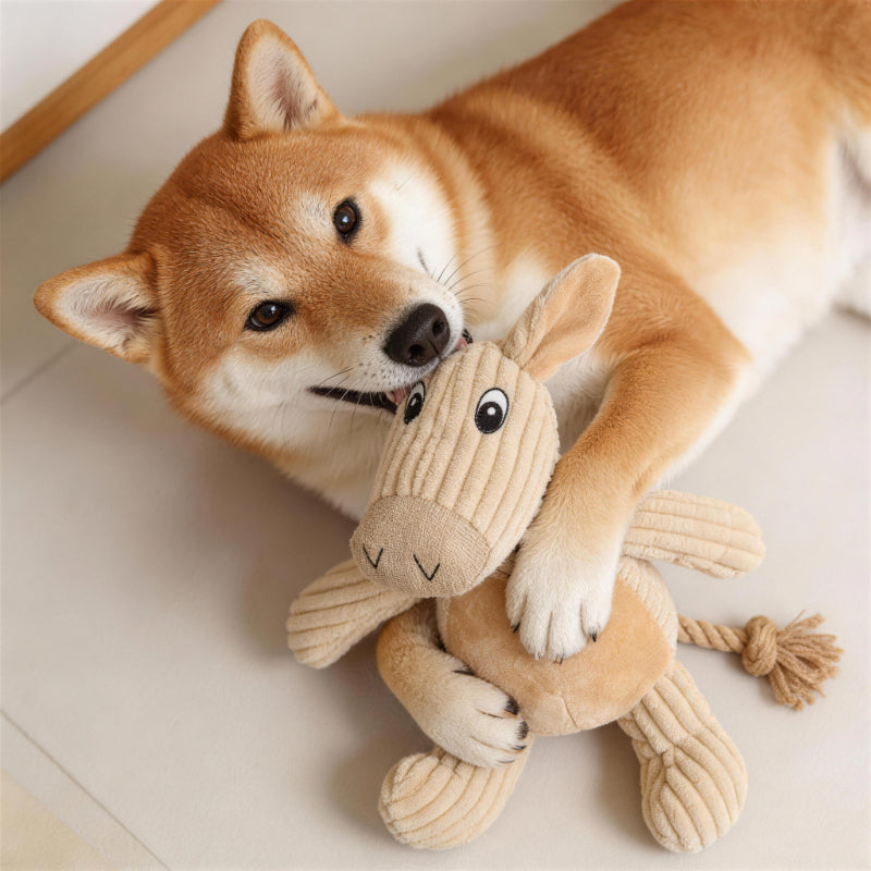 Kuscheltier für Hunde, Spielzeug in Esel und Hund Design mit Robusten Baumwollseilen, quietsch, Begleiter gegen Langeweile für Hunde, 3 Stück