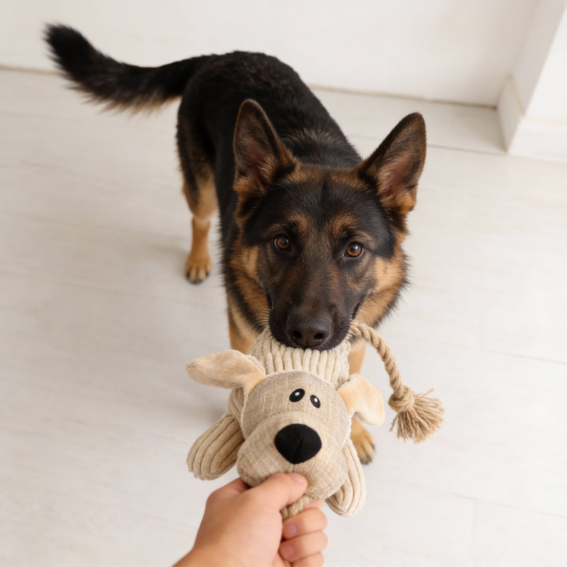 Kuscheltier für Hunde, Spielzeug in Esel und Hund Design mit Robusten Baumwollseilen, quietsch, Begleiter gegen Langeweile für Hunde, 3 Stück