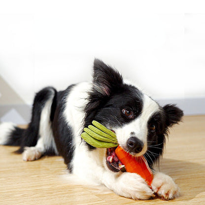 Hund Spielzeug, Knuffiges Gummi Karotte Spielzeug mit Plüsch-Rettichblätter, Sound & Lautes Papier für Lustiges, Zwei Farben
