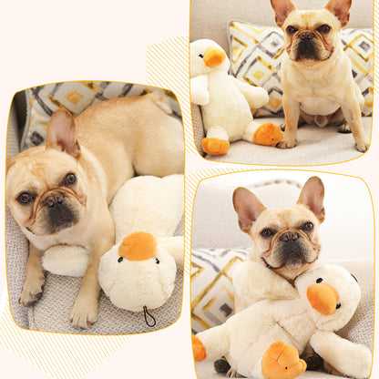Kuscheltier für Hunde, Kleine Ente mit BB vocalization Hundespielzeug, Groß und Klein, Ideal zum Kauen und Schlafens (1 Stück)
