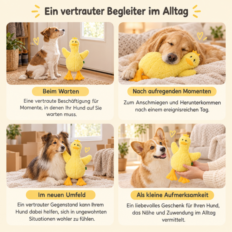 Kuscheltier für Hunde DT065-07-N6