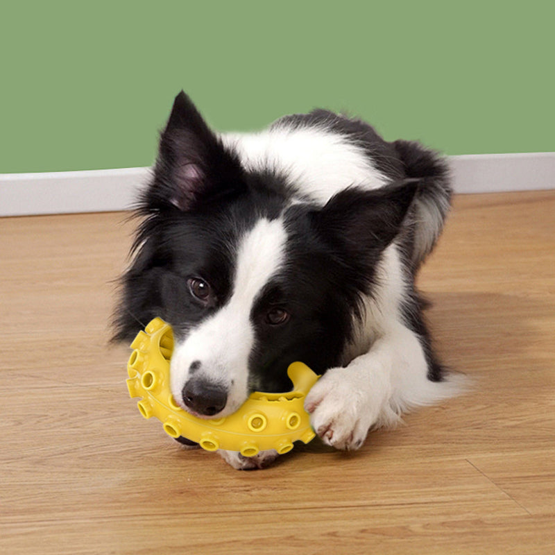 Spielzeug Hund, TRP Tintenfischtentakel-Spielzeug, Hunde Intelligenzspielzeug mit Slow Food & Zahnreinigung, Zwei Farben (1 Stück)