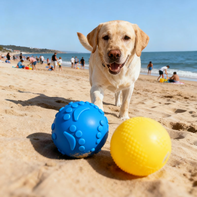 Spielzeug für den Hund, Interaktives TPR Hundeball mit quietschen, weich & elastisch, Kauspielzeug Hund, Drei Farben (1 Stück)