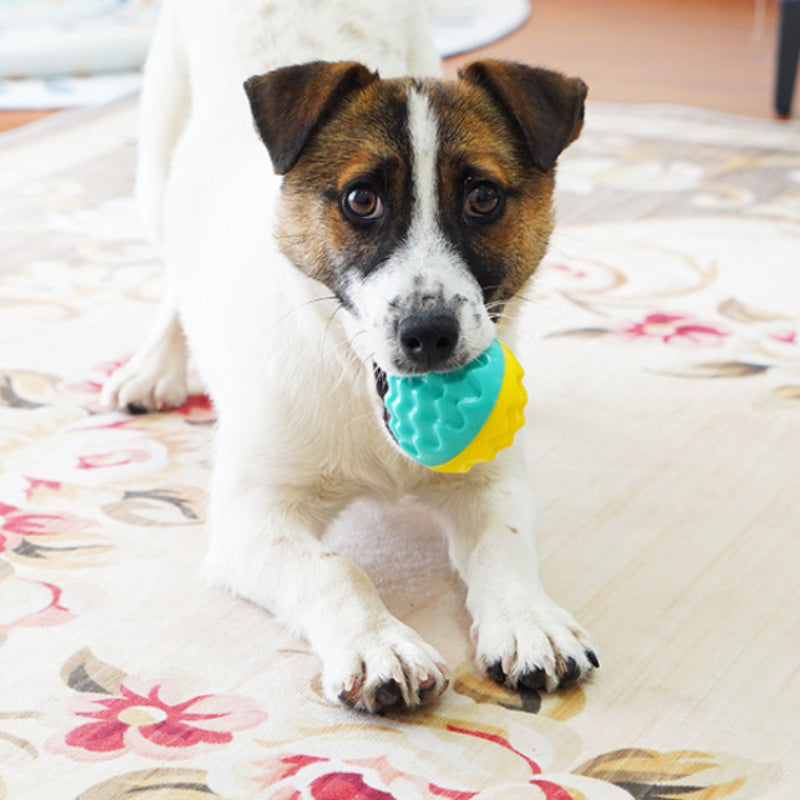 Spielzeug Hund, TPR Hundeball, Hundespielzeug Quietschen, Wasserspielzeug Hund, Bump-Textur für Zahnpflege, Zwei Farben