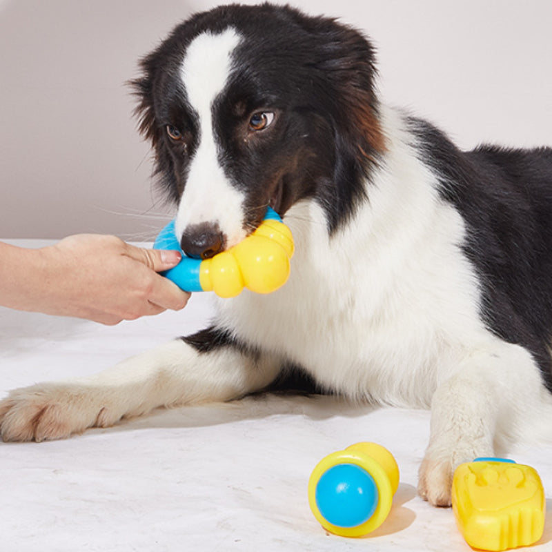 Spielzeug für den Hund, TPR Kühles Kauspielzeug für Sommertage mit Wassereinspritzung, Abkühlung für Ihren Hund, Drei Stile