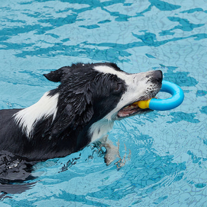 Spielzeug für den Hund, TPR Kühles Kauspielzeug für Sommertage mit Wassereinspritzung, Abkühlung für Ihren Hund, Drei Stile