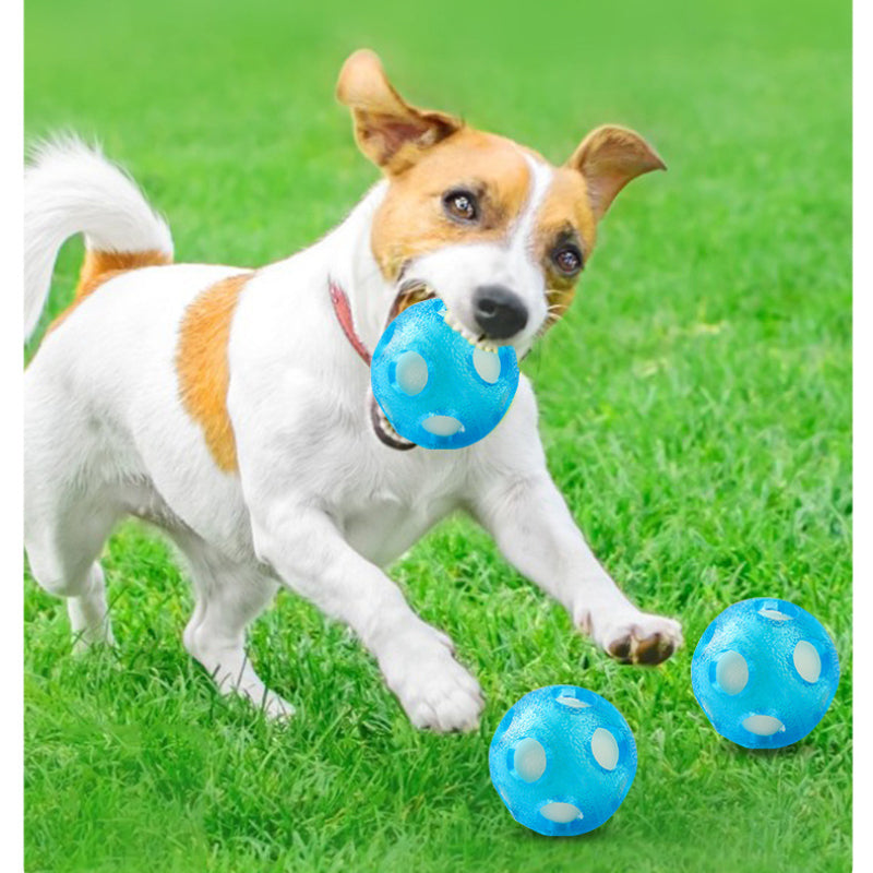 Spielzeug für den Hund, TRP Hundeball, Blauer schwimmender Schwammball, Wasserspielzeug Hund, 2er Set mit 7 cm Durchmesser