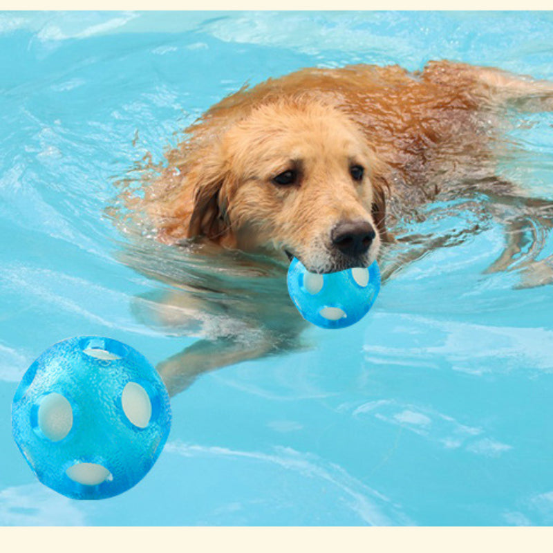 Spielzeug für den Hund, TRP Hundeball, Blauer schwimmender Schwammball, Wasserspielzeug Hund, 2er Set mit 7 cm Durchmesser