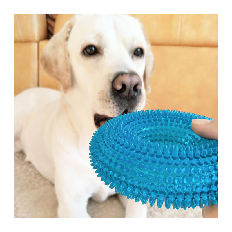 Unkaputtbares Hundespielzeug, TRP Blaues Dornenring, Zahnpflege für Hunde, Hundespielzeug Quietsch, Zwei Größen für alle Hunde