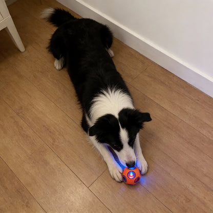 Spielzeug für den Hund, Gummi Doppelschicht Hundeball mit Glocken oder leuchtende Kugeln, Kauspielzeug für Hunde, Zwei Größen