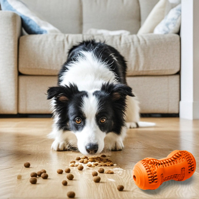 Hundespielzeug, Orange Gummierdnüsse, Intelligenzspielzeug Hund, Kauspielzeug zur Zahnpflege & Beschäftigung für alle Hunde
