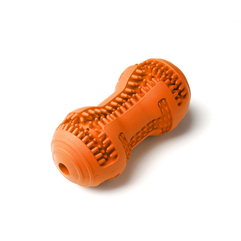 Hundespielzeug, Orange Gummierdnüsse, Intelligenzspielzeug Hund, Kauspielzeug zur Zahnpflege & Beschäftigung für alle Hunde