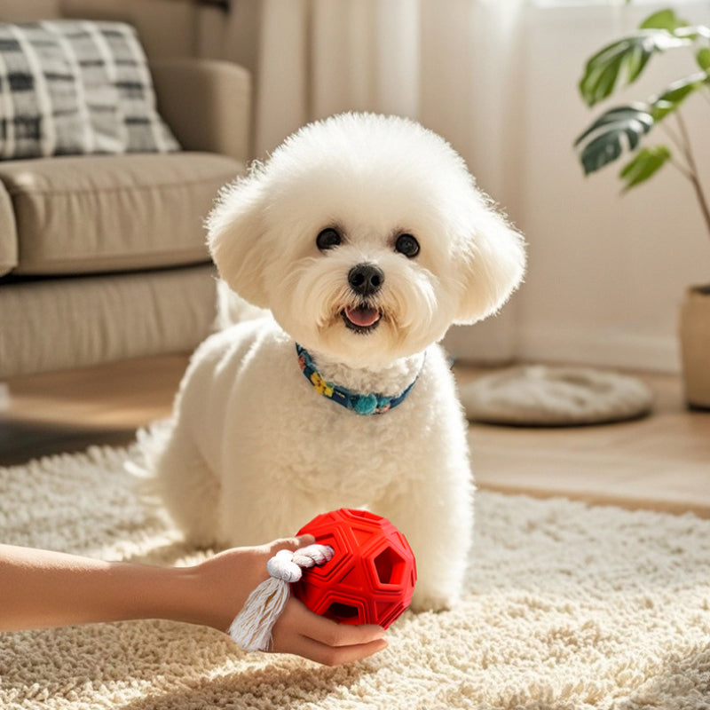 Hund Spielzeug, Hundeball, Gummibälle mit Hohlform und Bissseil, kauspielzeug für hunde & Spielzeug für drinnen und draußen