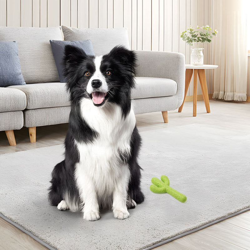 Hundespielzeug Unkaputtbar, Hochwertig, Kaktusform in Gelb-Grün aus Gummi, Beständiges Kauspielzeug für alle Hunderassen