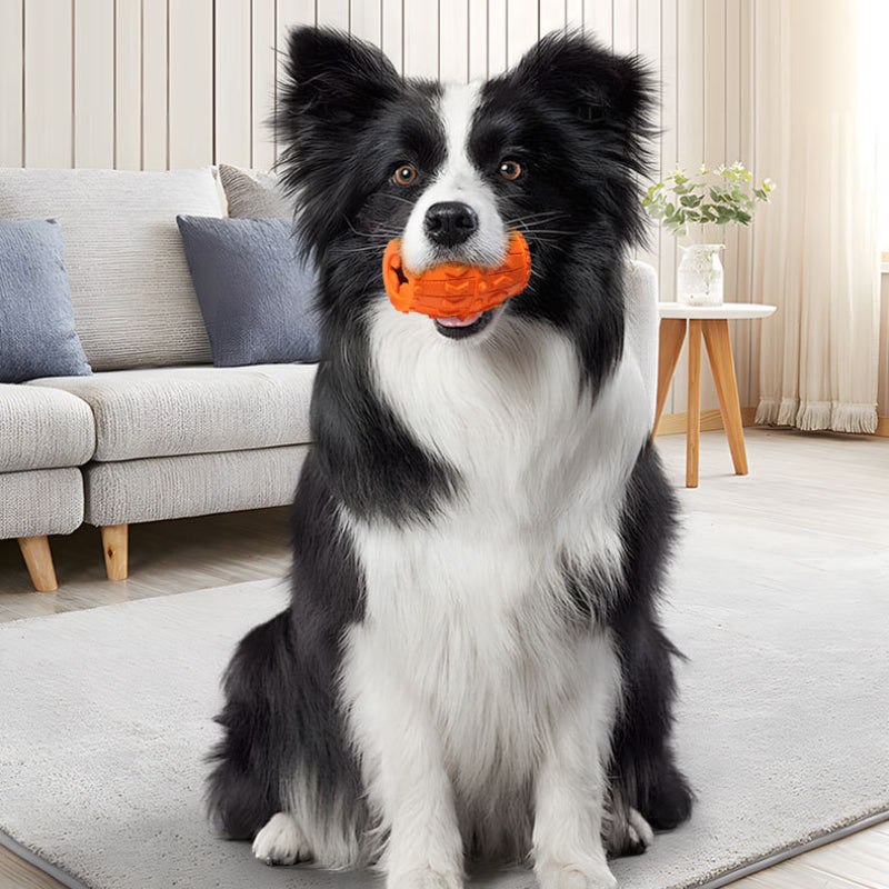 Unkaputtbares Hundespielzeug, Orange Weinfässer aus Gummi, hunde intelligenzspielzeug, Slow Food Interaktives Spielzeug