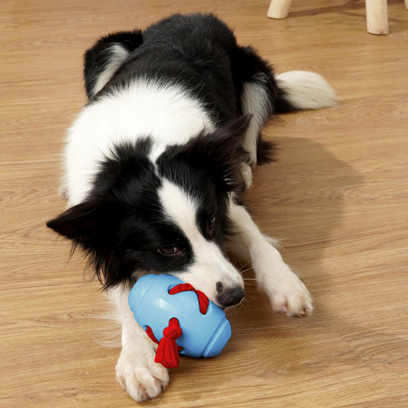 Spielzeug für den Hund, Interaktives Rugbyball aus Gummi, Hund Futterball mit Beißseil für Langsame Fütterung, Zwei Farben