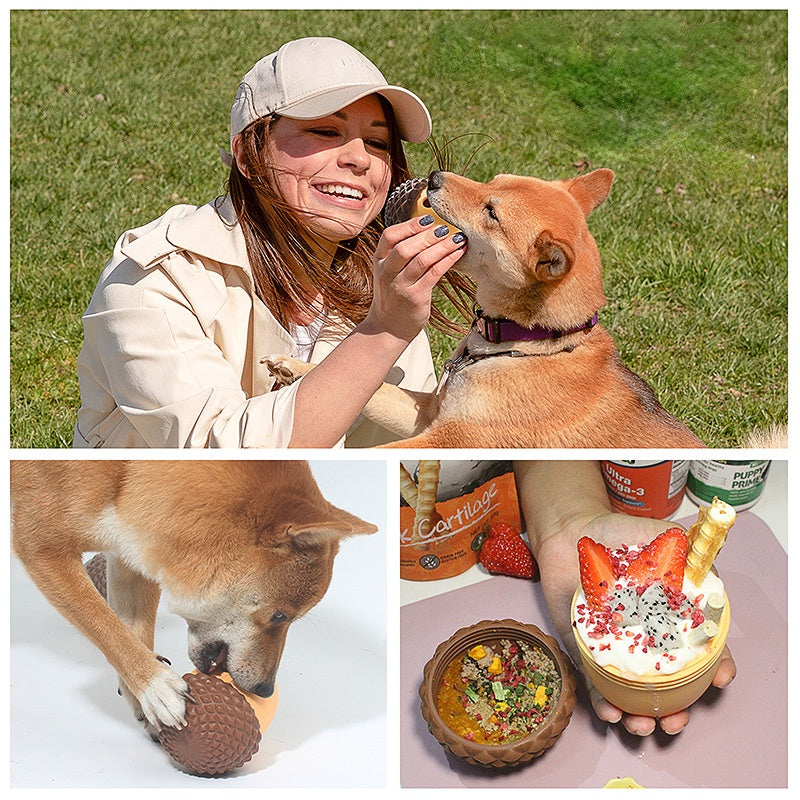 Hunde Intelligenzspielzeug, Silikon-Eichel, Futterspielzeug für Hunde, Langsame Futteraufnahme für Alle Hunde, Braun und Grün