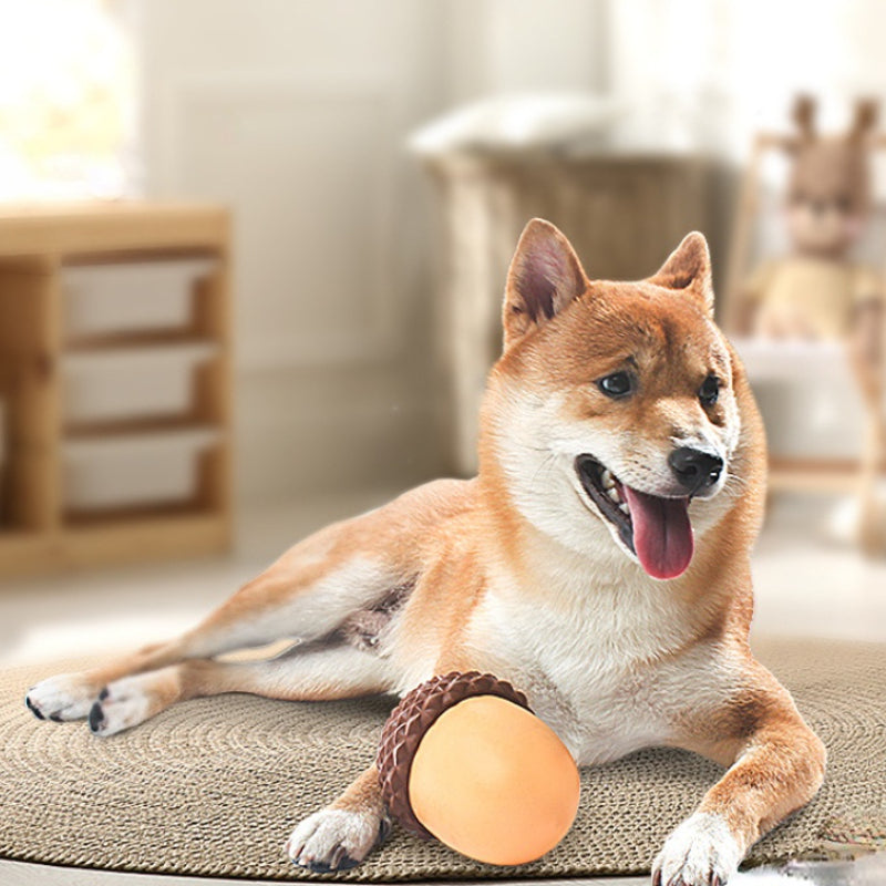 Hunde Intelligenzspielzeug, Silikon-Eichel, Futterspielzeug für Hunde, Langsame Futteraufnahme für Alle Hunde, Braun und Grün