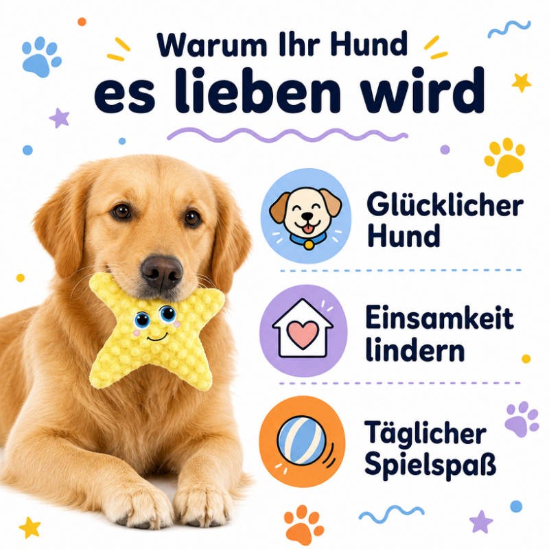 Hunde Intelligenzspielzeug DT078-01-12