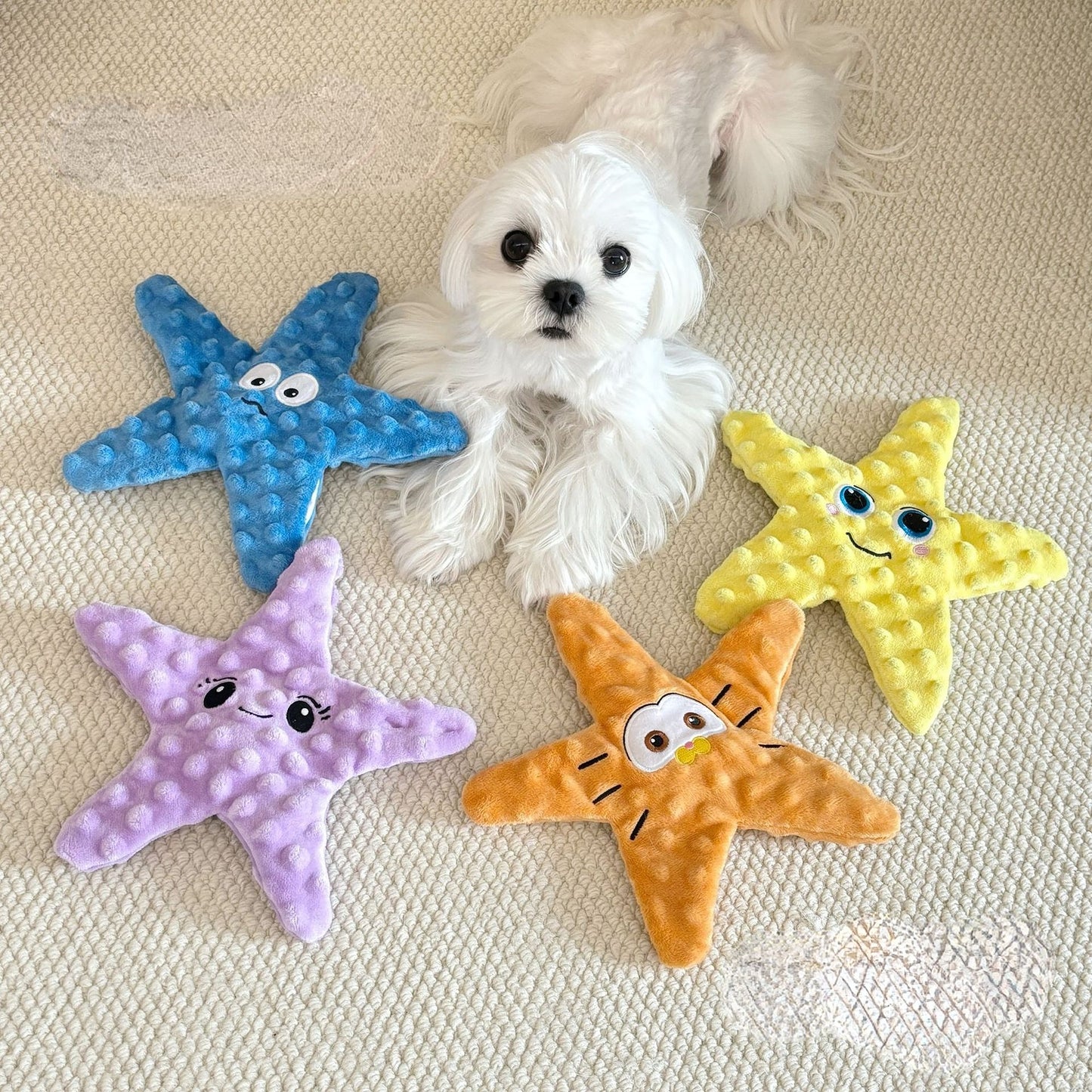 Hunde Intelligenzspielzeug, Plüsch Seestern mit Krinklepapier, BB-Sound & Futterversteck, Kauspielzeug, Vierfarbiger