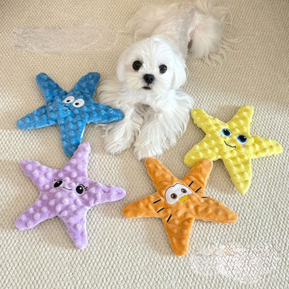 Hunde Intelligenzspielzeug, Plüsch Seestern mit Krinklepapier, BB-Sound & Futterversteck, Kauspielzeug, Vierfarbiger