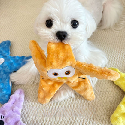 Hunde Intelligenzspielzeug, Plüsch Seestern mit Krinklepapier, BB-Sound & Futterversteck, Kauspielzeug, Vierfarbiger