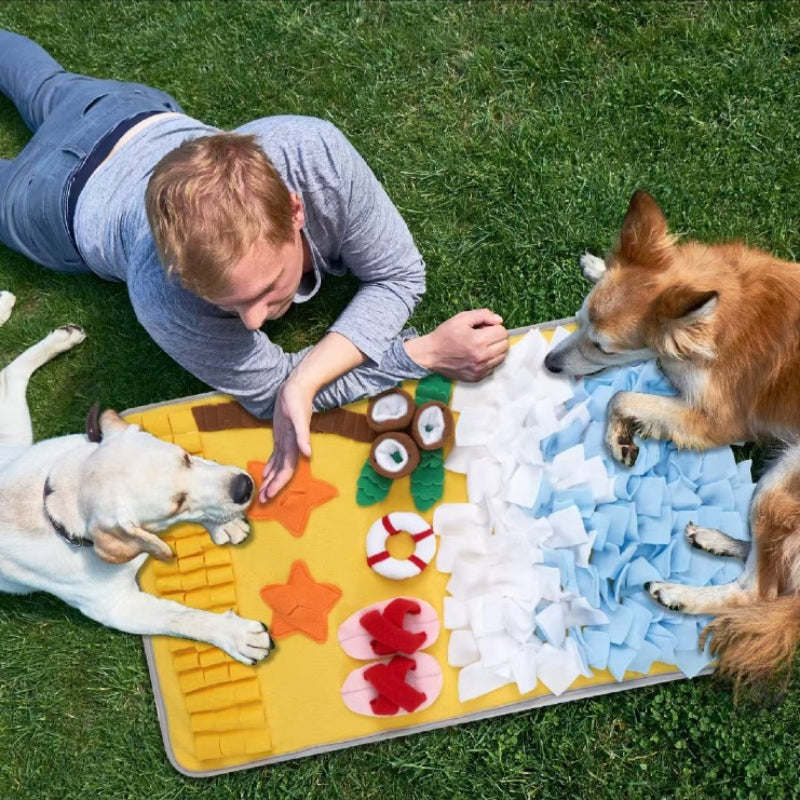 Hunde Intelligenzspielzeug, Schnüffelmatte Hund für kleine & große Hunde, Strandthema, Langlebiges Spielzeug mit Spaßfaktor