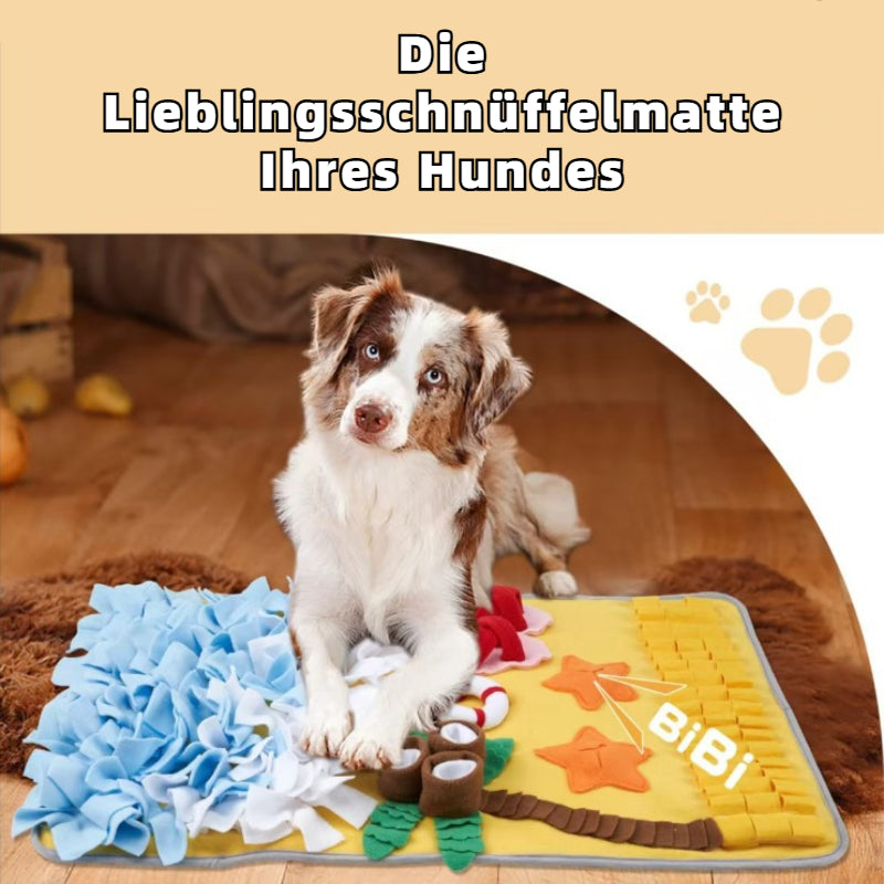 Hunde Intelligenzspielzeug, Schnüffelmatte Hund für kleine & große Hunde, Strandthema, Langlebiges Spielzeug mit Spaßfaktor