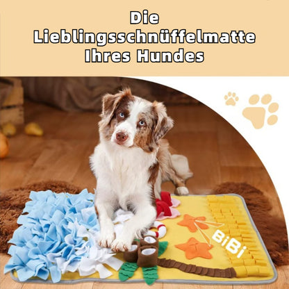 Hunde Intelligenzspielzeug, Schnüffelmatte Hund für kleine & große Hunde, Strandthema, Langlebiges Spielzeug mit Spaßfaktor