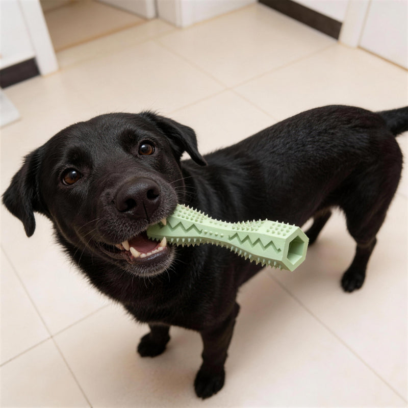 Hundespielzeug Unkaputtbar, Kaustock Hundespielzeug aus TPR, verstecktem Futter, Zähneputzen & Beschäftigung, Drei Farben