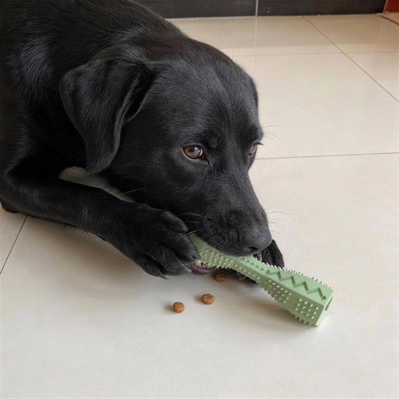 Hundespielzeug Unkaputtbar, Kaustock Hundespielzeug aus TPR, verstecktem Futter, Zähneputzen & Beschäftigung, Drei Farben