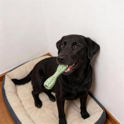 Hundespielzeug Unkaputtbar, Kaustock Hundespielzeug aus TPR, verstecktem Futter, Zähneputzen & Beschäftigung, Drei Farben