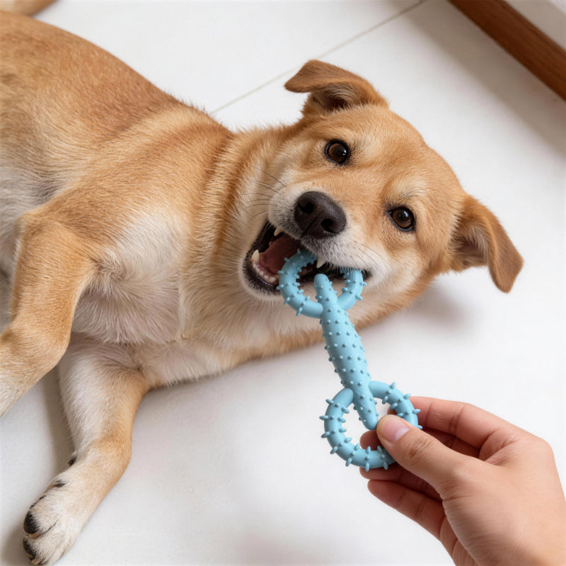 Unkaputtbares Hundespielzeug, TPR-Doppelring Kaustock, langlebiges Spielzeug für den Hund, ideal für Spielstunden, Drei Farben