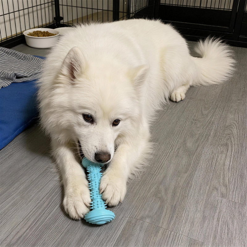 Hundespielzeug Unzerstörbar, TPR Barbell Hundekaustab, Kauspielzeug für Hunde, Saubere Zähne, Unterhaltung in drei Farben