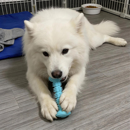 Hundespielzeug Unzerstörbar, TPR Barbell Hundekaustab, Kauspielzeug für Hunde, Saubere Zähne, Unterhaltung in drei Farben