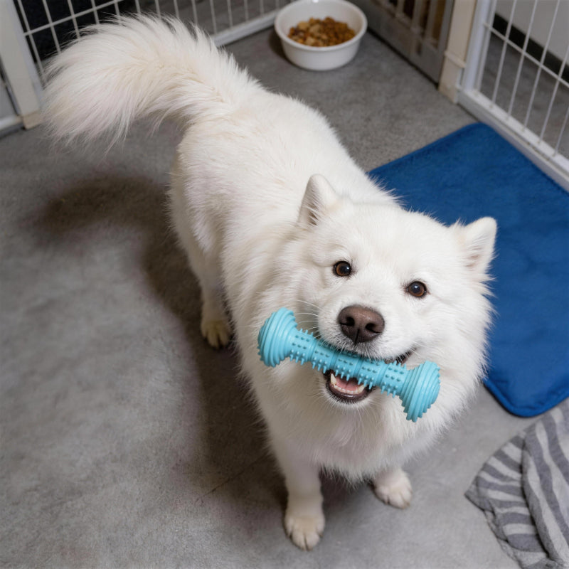 Hundespielzeug Unzerstörbar, TPR Barbell Hundekaustab, Kauspielzeug für Hunde, Saubere Zähne, Unterhaltung in drei Farben