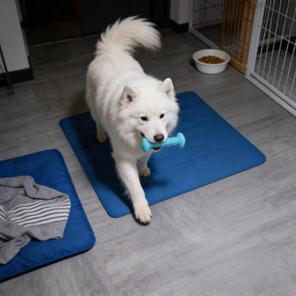 Hundespielzeug Unzerstörbar, TPR Barbell Hundekaustab, Kauspielzeug für Hunde, Saubere Zähne, Unterhaltung in drei Farben