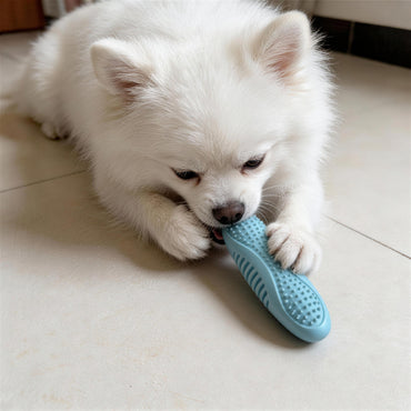 Hundespielzeug Unkaputtbar, TPR Ovales Kauspielzeug mit weichen Stacheln für Zahnpflege, Dreifarbige Auswahl in Drei Farben