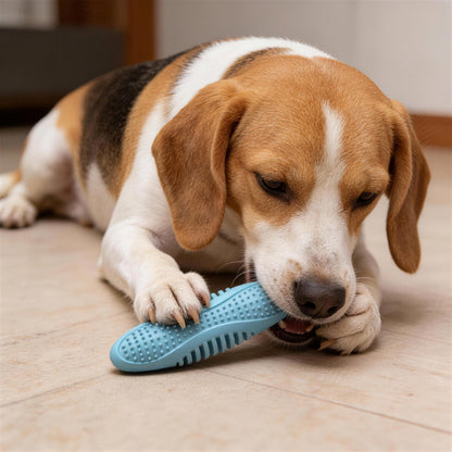 Hundespielzeug Unkaputtbar, TPR Ovales Kauspielzeug mit weichen Stacheln für Zahnpflege, Dreifarbige Auswahl in Drei Farben