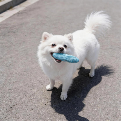 Hundespielzeug Unkaputtbar, TPR Ovales Kauspielzeug mit weichen Stacheln für Zahnpflege, Dreifarbige Auswahl in Drei Farben