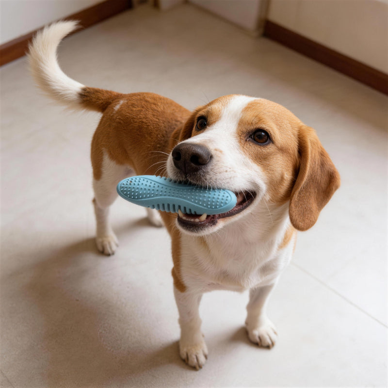 Hundespielzeug Unkaputtbar, TPR Ovales Kauspielzeug mit weichen Stacheln für Zahnpflege, Dreifarbige Auswahl in Drei Farben