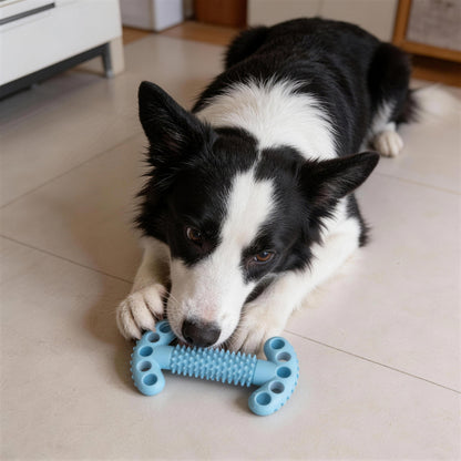 Unkaputtbares Hundespielzeug, Double T-Form Kauspielzeuge mit Weiche Dornen für Hunde, Robuste & leicht zu reinigen, Drei Farben