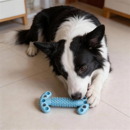 Unkaputtbares Hundespielzeug, Double T-Form Kauspielzeuge mit Weiche Dornen für Hunde, Robuste & leicht zu reinigen, Drei Farben
