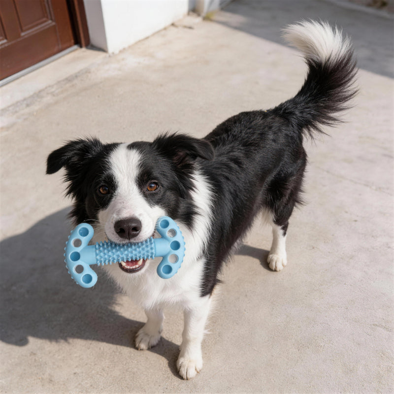 Unkaputtbares Hundespielzeug, Double T-Form Kauspielzeuge mit Weiche Dornen für Hunde, Robuste & leicht zu reinigen, Drei Farben