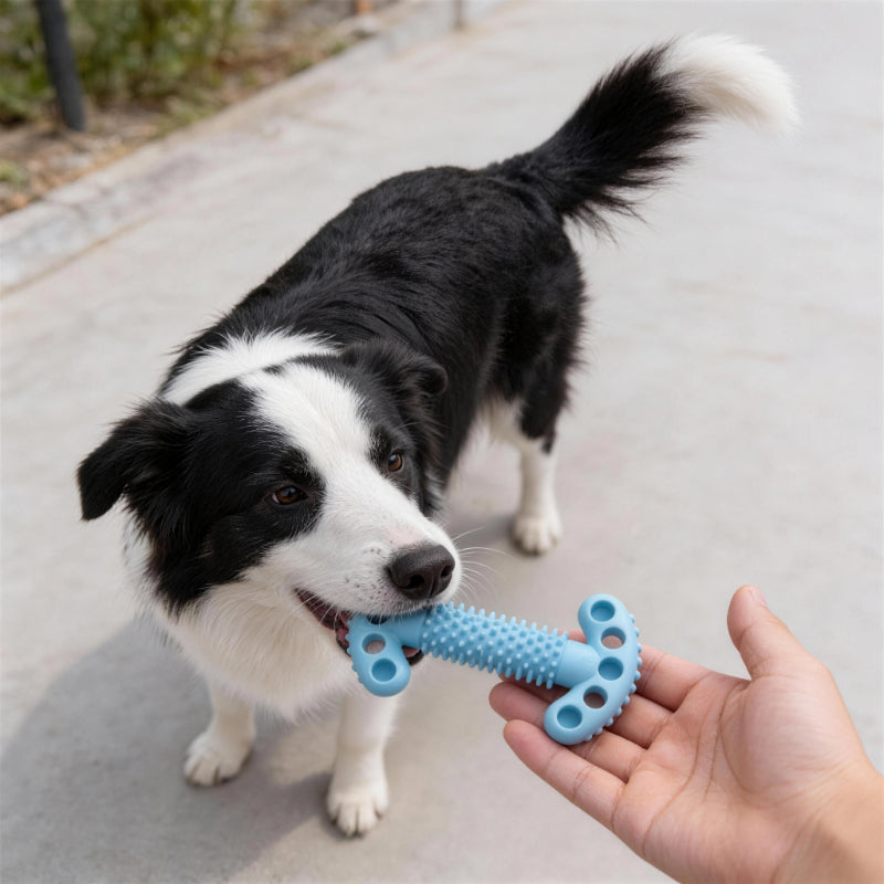 Unkaputtbares Hundespielzeug, Double T-Form Kauspielzeuge mit Weiche Dornen für Hunde, Robuste & leicht zu reinigen, Drei Farben