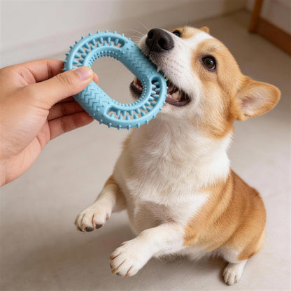 Hundespielzeug Unzerstörbar, TPR O-Ring Kauspielzeug für Hunde, Widerstandsfähig & Abriebsfest, Saubere Zähne, Drei Farben