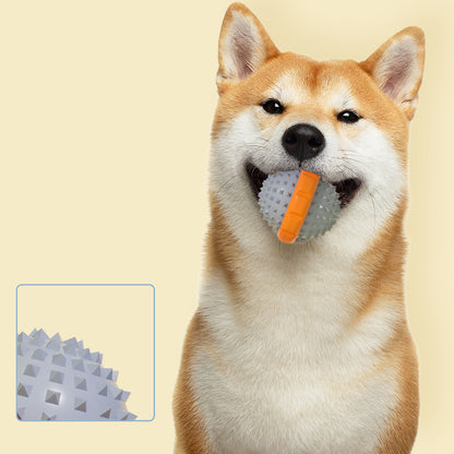 Hundespielzeug Unkaputtbar, TRP orange Hundeball mit Geräusch & Licht, langlebiges Welpenspielzeug, Zahnreinigung, Zwei Stile