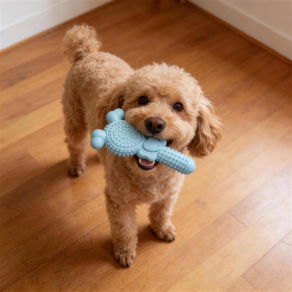 Unkaputtbares Hundespielzeug, TPR Lollipop Spielzeug für den Hund, Geeignet für Hunde, die gerne kauen, Drei Farben