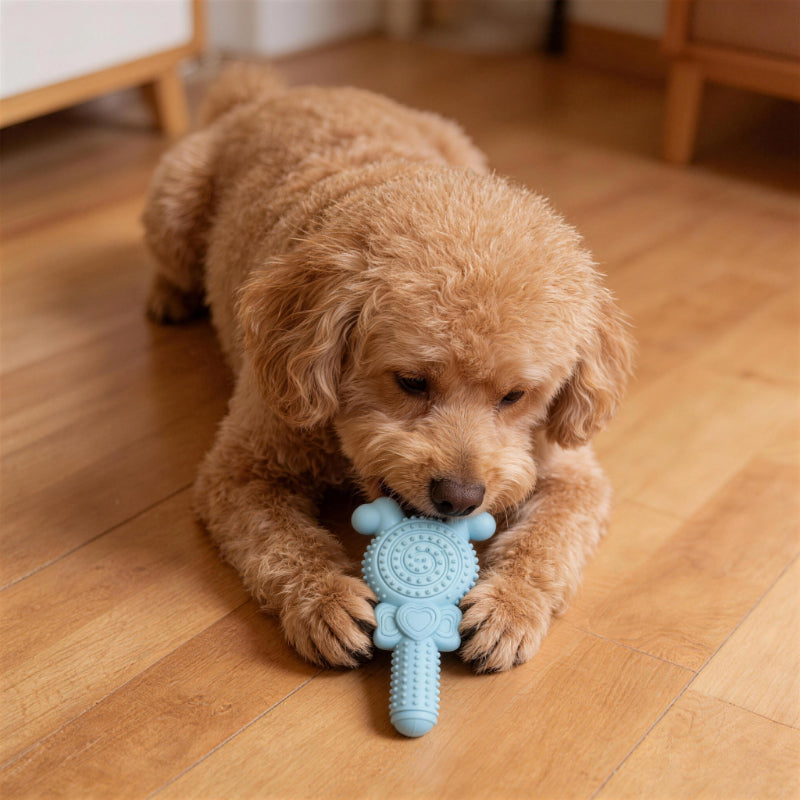 Unkaputtbares Hundespielzeug, TPR Lollipop Spielzeug für den Hund, Geeignet für Hunde, die gerne kauen, Drei Farben